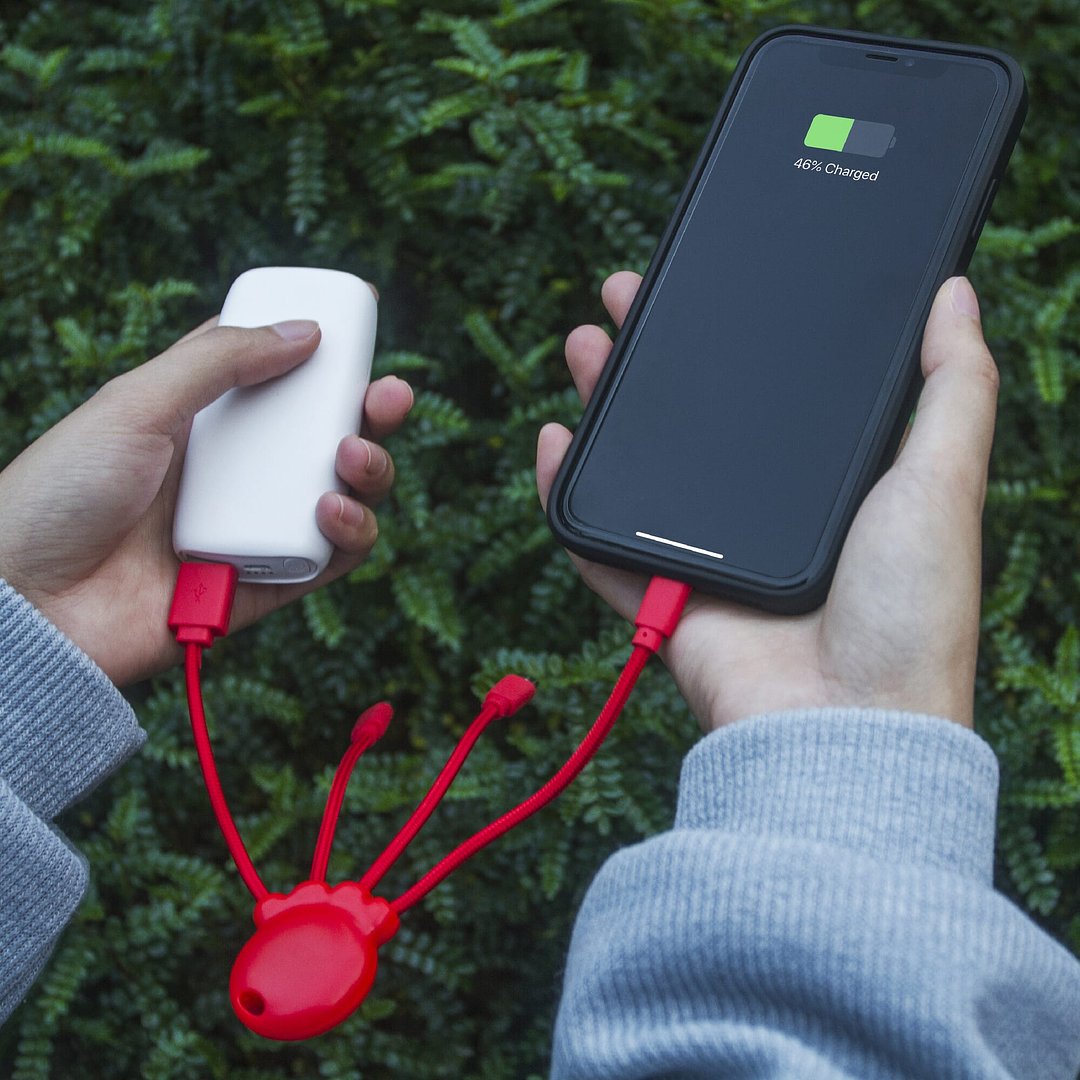 Octopus Charging cable Verilly