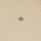 Samen Notizblock Idres