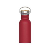 Wasserflasche Ashton 500ml Giuseht