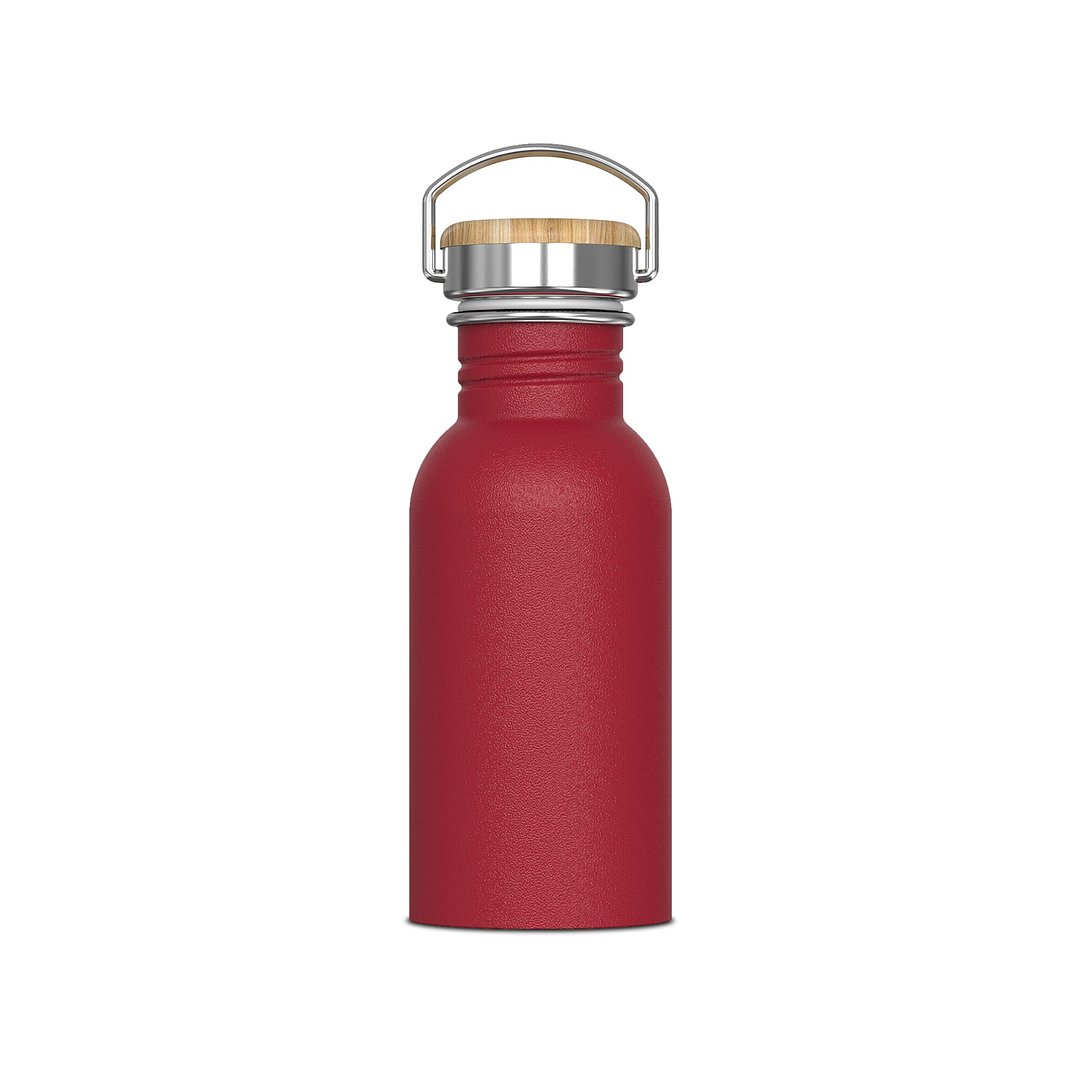 Wasserflasche Ashton 500ml Giuseht