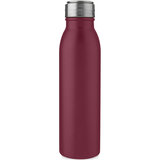700 ml Sportflasche aus Edelstahl mit Metallschlaufe - Natha