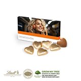 PRÄSENTBOX MIT LINDT SCHOKOHERZEN