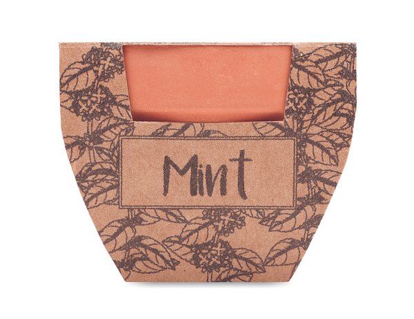 Terrakotta-Topf Minze Benanna