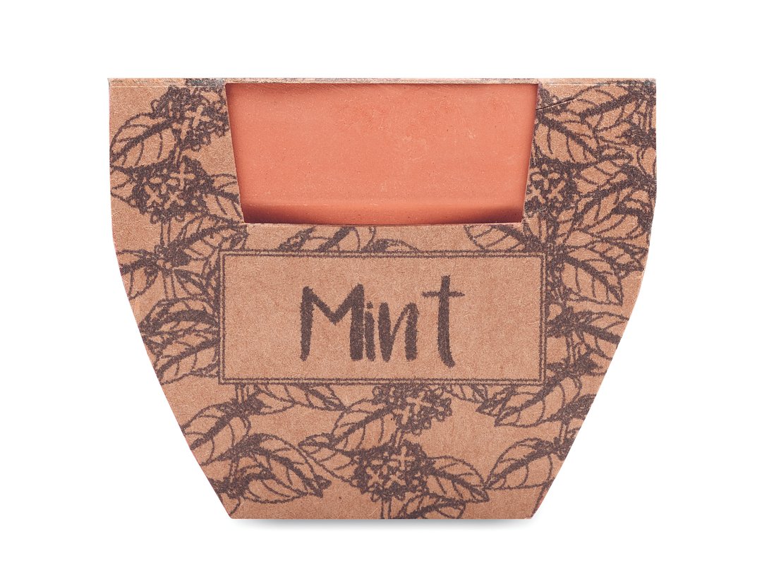 Terrakotta-Topf Minze Benanna