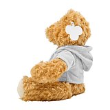 Teddybär Inathole