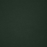 Erwachsene Farbe T-Shirt Idika