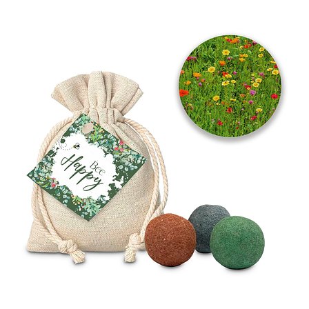 Samenbombe Happy Bee