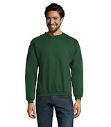 Herren Sweater 260g Bendinati