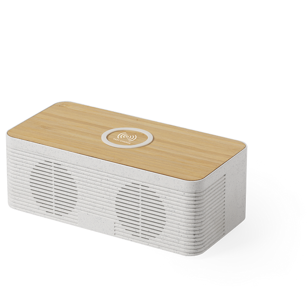 Ladegerät Lautsprecher Idcam