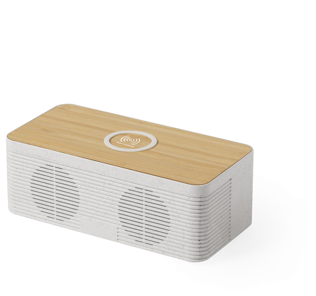 Ladegerät Lautsprecher Idcam