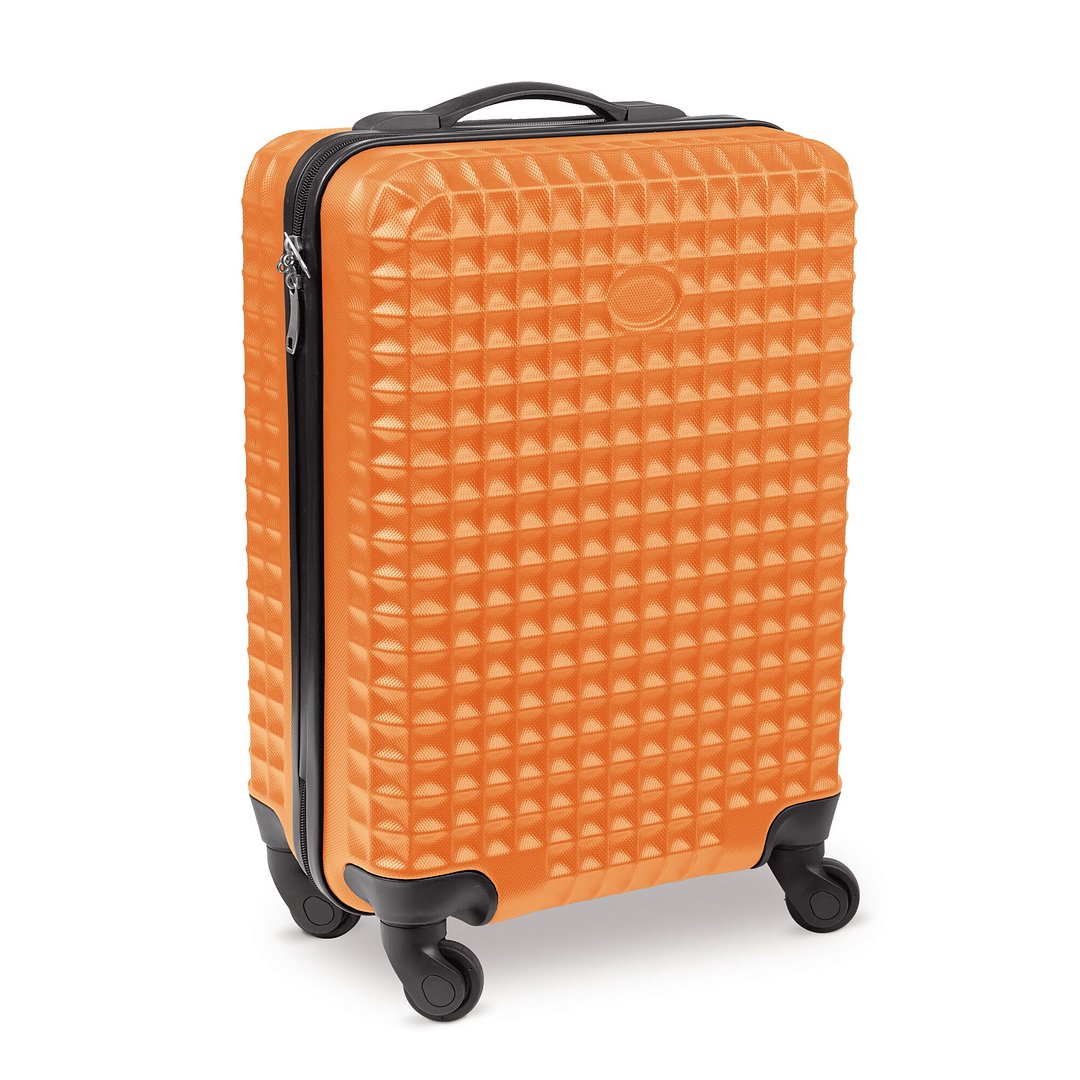 Trolley 18 inch Mast