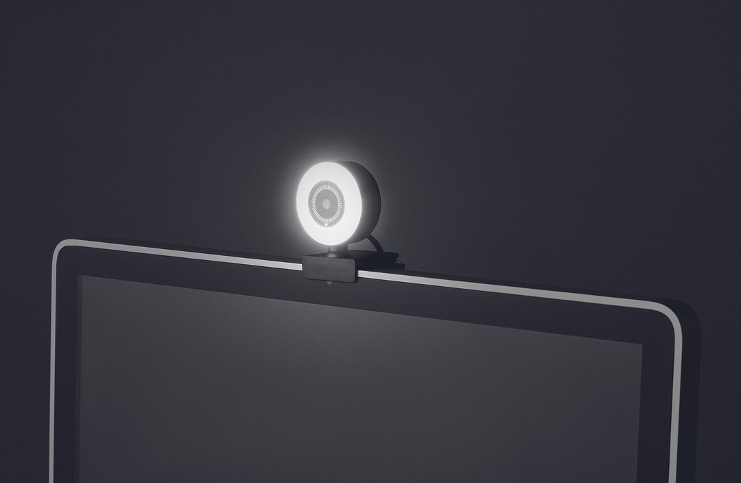 1080P HD-Webcam mit Ringlicht Annela