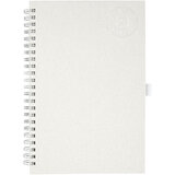 A5 Spiral Notizbuch - Oniani