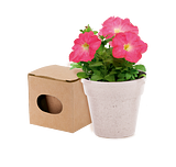 Blumentopf Idert