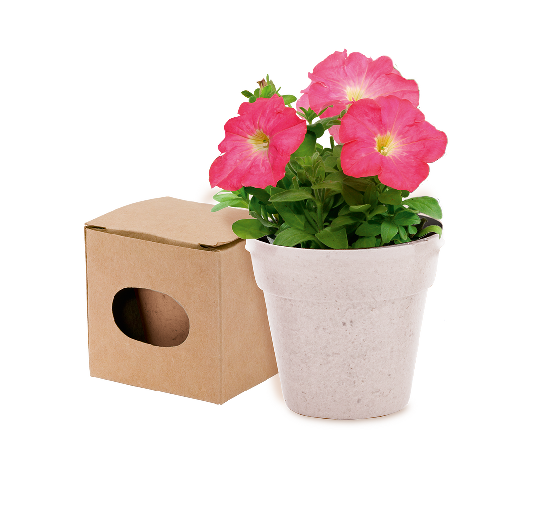 Blumentopf Idert
