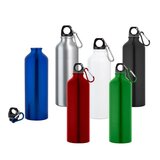 Trinkflasche 750 mL Beneli