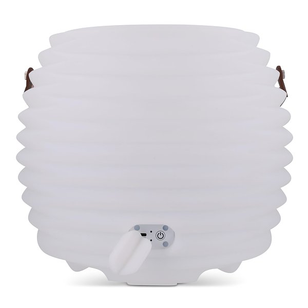 CoolLux Stimmungslicht und kabelloser Lautsprecher Orlini