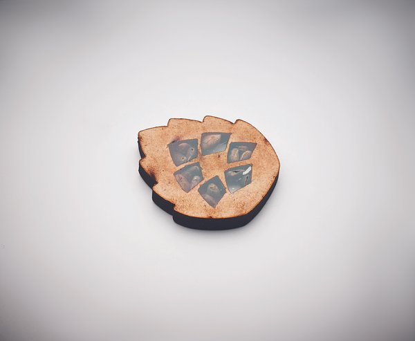 Kiefernsamen-Set Liulinatt