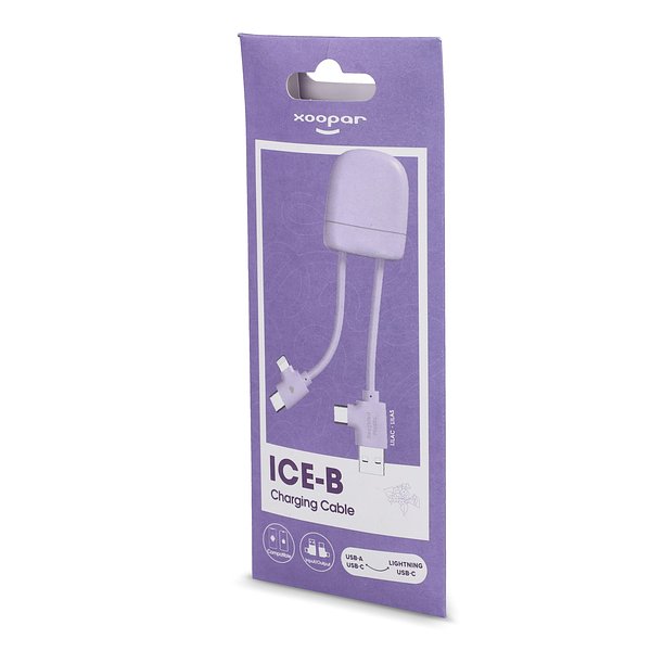 ICE-B Multi-Ladekabel Stgaulf
