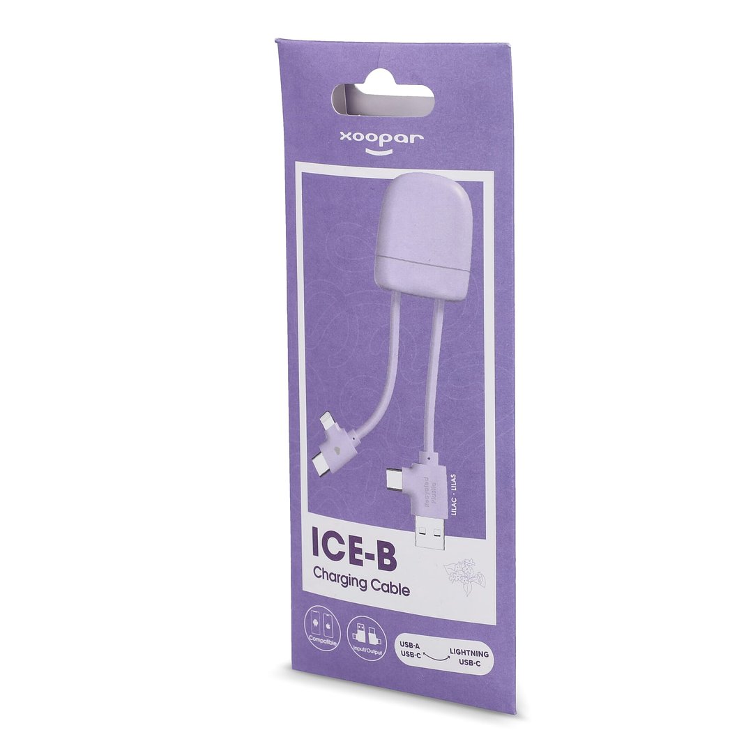 ICE-B Multi-Ladekabel Stgaulf