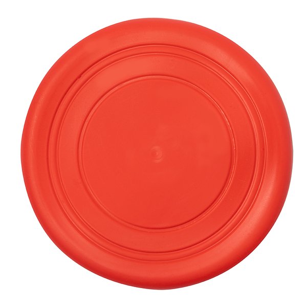 Frisbie Idrud