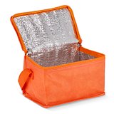 R-PET 6 Dosen-Kühltasche Non Woven 20x 13 x 12,5cm 75g/m² Veili