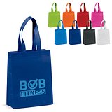 Laminierte Non Woven Tasche 105g/m² Aitannel