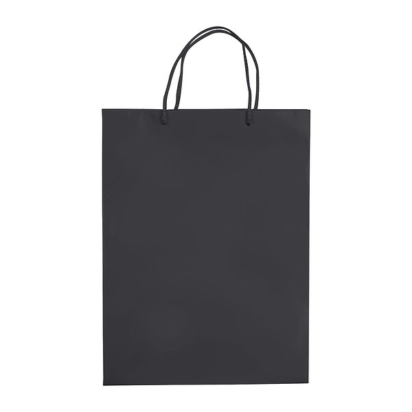 Laminierte Papiertasche, groß Utzio