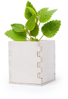 Blumentopf Idrin