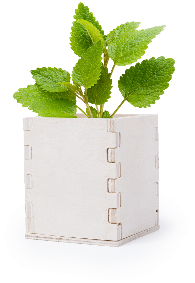 Blumentopf Idrin