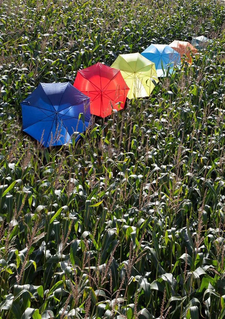 Regenschirm Mirix