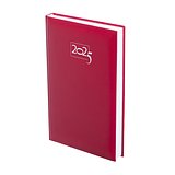 Tagebuch Idnes