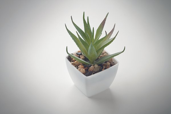 Mini-Kunstpflanze Vrenias