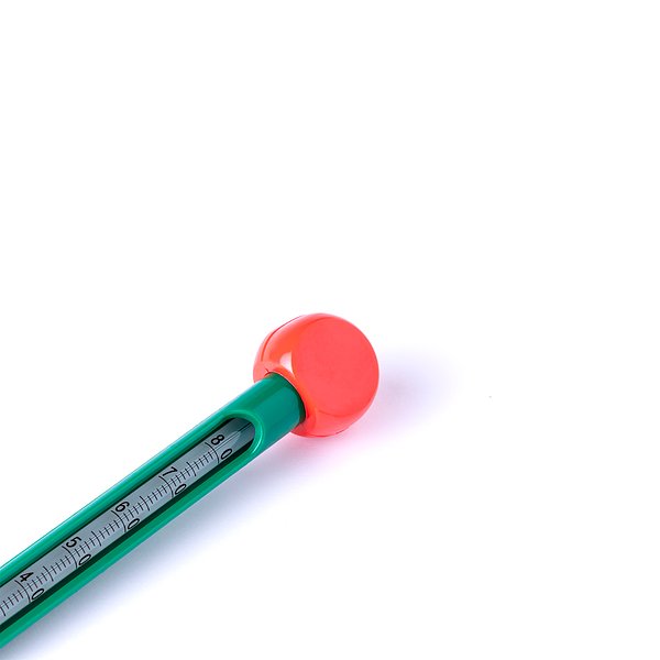 Bodenthermometer Idnex