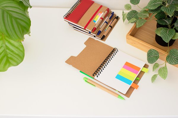 Notizbuch Bigeliun | Recyclingpapier | Liniert