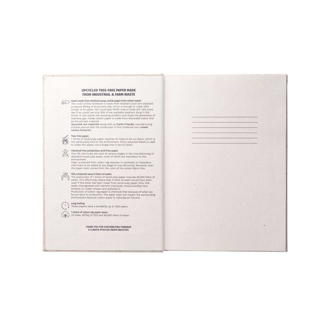 A5 Notizbuch Fringiafen