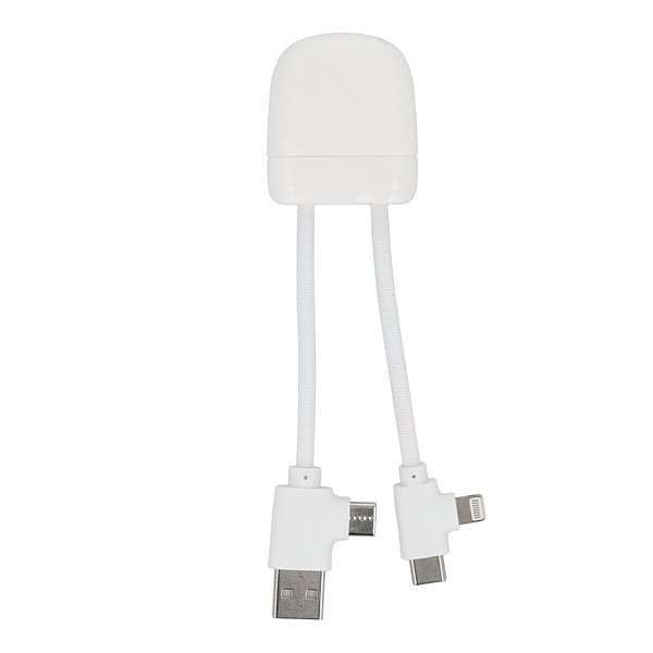 ICE-B Multi-Ladekabel Stgaulf