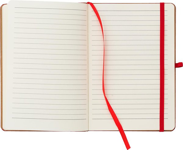 Notizbuch Ansehin | Bambuscover | A5 | Liniert