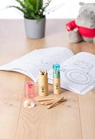 Buntstiftset Trinannin | Recycling-Karton | 6 Stück