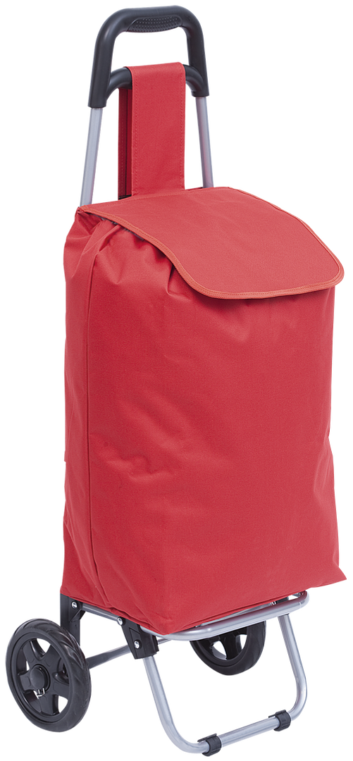 Einkaufstrolley Idax