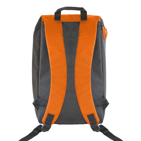 Kühlrucksack Basic Paunzi