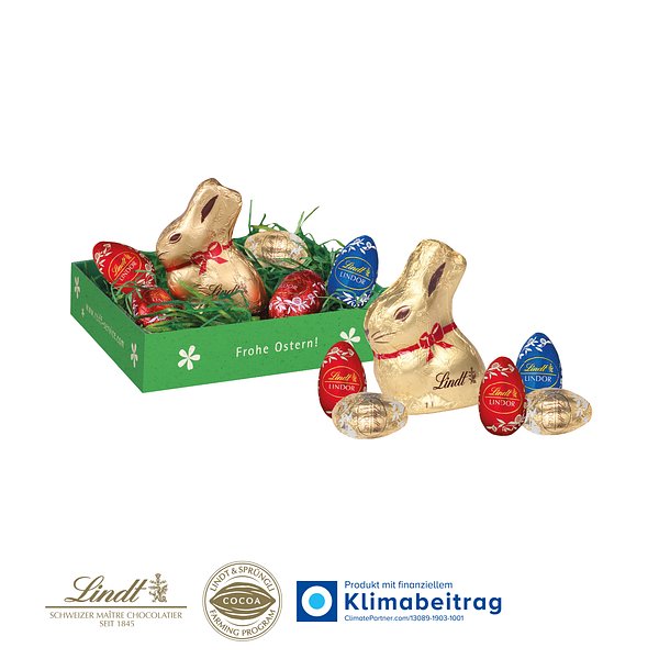 Osternest mit Schokolade von Lindt auf Graspapier