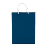 Laminierte Papiertasche, groß Utzio