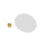 Pin Emerinat