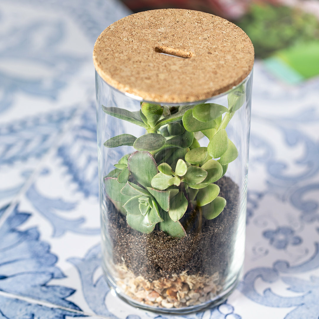 Terrarium Idmak