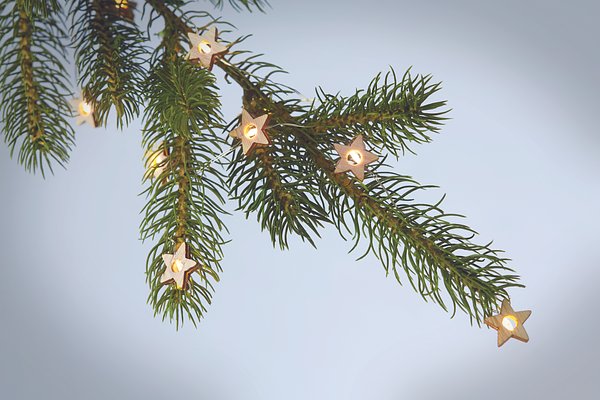 Lichterstrang mit 20 LEDs Paltianna