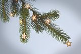 Lichterstrang mit 20 LEDs Paltianna