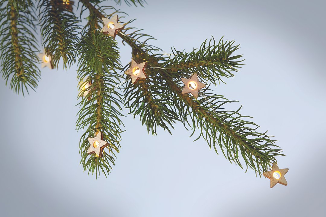 Lichterstrang mit 20 LEDs Paltianna