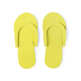 Flip Flop Idmmy