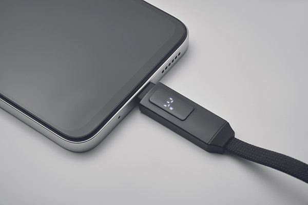 60W Schlüsselring-Ladekabel Pauli